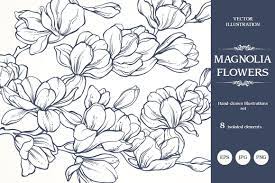 Linear Vector Magnolia Flowers Set Magnolia Flower Flower Graphic Flower Illustration