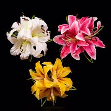 All my flowers come with a pin back and removable hair comb. Aloha Hula Supply Hawaii Tahitian Maori Flowers