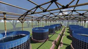 Kolam Terpal Lele Keunggulan Budidaya Dengan Sistem Bioflok