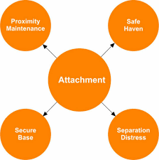 Congress to join the confederacy, and the treatment of slavery in the confederate constitution. Attachment Theory Main Characteristics Of Attachment Family Matters