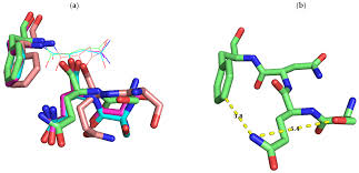 You are leaving oncue's website to access a secure ordering website. Antibiotics Free Full Text Potential Target Site For Inhibitors In Mlsb Antibiotic Resistance Html