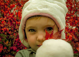 The Colorful Winners of the 2021 "Time of the Season" Fall Photo Contest