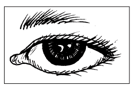 Silakan klik link di bawah ini untuk men download soal selengkapnya : Soal Uas Bahasa Jawa Kelas 1 Sd Semester 1 Ganjil Www Bimbelbrilian Com Proprofs Quiz