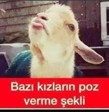 Sevde Koca Adli Kullanicinin Komikti Gulduk Panosundaki Pin Komik Seyler Komik Alintilar Mizah