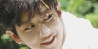 A SUMMER IN EUROPE ༄ P.CY ✓