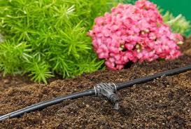 Check spelling or type a new query. Arrosage Automatique Tout Savoir Pour Faire Le Bon Choix Cote Maison