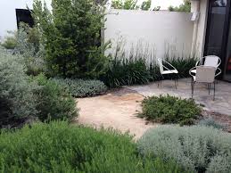 Cameron Paterson S Toorak Garden Google Search Low Maintenance Garden Design Garden Design Garden Ideas Australia