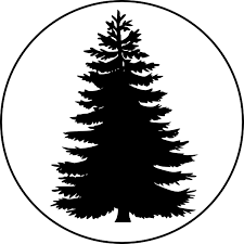 Pix For Evergreen Tree Outline Tree Outline Tree Stencil Filigree Tattoo