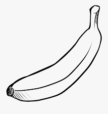 Download now merah putih anthurium rynari. Fruit Banana Food Yellow Png Image Sketsa Gambar Buah Buahan Free Transparent Clipart Clipartkey