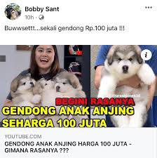  Dah Tayang Di Youtube Nya Duniaanjingkita