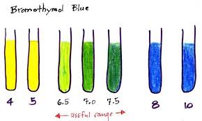 ph indicator solutions