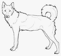 Free coloring pages to download and print. Husky Png Transparent Husky Png Image Free Download Pngkey