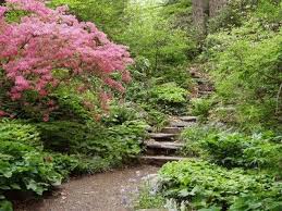 Garden In The Woods Pass Admits Up To 4 People At Half Admission Price For Adults And 1 For Child Garden In The Woods Woodland Garden Rock Garden Landscaping