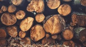 I have a woodstove (full of potatos now that it is spring in ga) and am always on the lookout for wood. Is Cherry Good For Firewood Cherry Firewood Guide