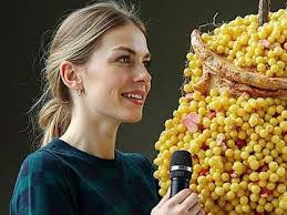 Sara Hermanson's Instagram, Twitter & Facebook