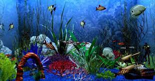 Download Wallpaper Anime Bergerak Windows 10 Cara Membuat Background Desktop Bergerak Windows 7 Sof Aquarium Live Wallpaper Anime Bergerak Aquarium Wallpaper
