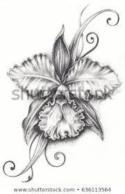 Pin By W Arantxa On Cool Ink In 2021 Pencil Drawings Orchid Drawing Drawings