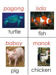 Tagalog Flashcards Cognition Psychology Cognitive Science Flashcards For Kids Tagalog Words Filipino Words