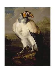 Pin On Birds In Art
