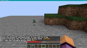 How Long Does It Take For Items To Despawn In Minecraft 1.19