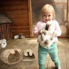 Come devolvere il 5xmille che cos'è il 5×1000? Kaninchenhaus 2er Set Mit Zubehor Kaufen