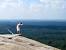 Confederate Stone Mountain Ga