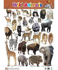 Wild Animals Chart English