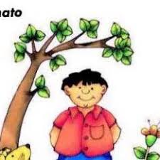 Paco el chato es una plataforma independiente que ofrece recursos de apoyo a los libros de texto de la sep y otras editoriales. Paco El Chato Tuitasir Twitter