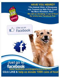 335 11th ave n, jacksonville beach, fl 32250. 23 Our Community Ideas Jacksonville Jacksonville Florida Jacksonville Fl