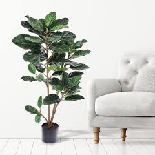 It acclimates well to new spaces. Potted Audrey Ficus Plant 46 Overstock Ca