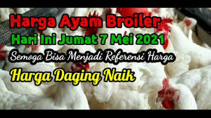 Kang peter adalah aplikasi peternakan yang bisa digunakan oleh sobat peternak dalam membantu mengelola dan mendapatkan informasi seputar peternakan. Info Harga Ayam Boiler Hari Ini Jumat 7 Mei 2021 Youtube