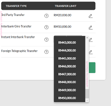 Uploading of bulk payment/payroll file. Instant Transfer Duitnow Interbank Giro Ibg