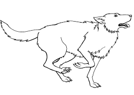 Click the sonic running coloring pages to view printable version or color it online (compatible with ipad and android tablets). Running For Prey Wolf Coloring Page Download Print Online Coloring Pages For Free Color Nimbus