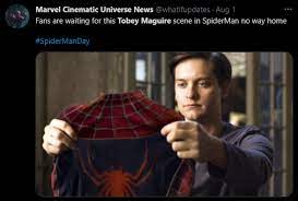 Sj0ke9tscaarfm