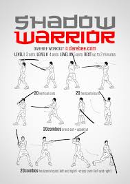 Shadow Warrior Workout Warrior Workout Martial Arts Workout Martial Arts