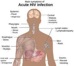 Chlamydia will not cause hair loss. Hiv And Chronic Hepatitis B Drug May Cause Hair Loss
