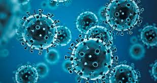 Plum pox virus вирус шарки слив. Influenza Que Es Cuales Son Los Sintomas Como Prevenirla
