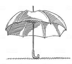 Black And White Umbrella Drawing Hand Drawn Vector Drawing Of An Open Umbrella Black And White Sketch Umbrella Drawing Umbrella Black And White Sketches
