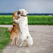 Pin On Awwwwwwwwwww