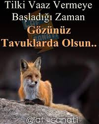 Mehmet Fatih Adli Kullanicinin Gercekler Panosundaki Pin Komik Guzel Soz Atasozleri