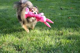 Smart Pet Love Tender Tuffs Shaggy Pink Rabbit Tough Dog Toy Play Fetch Or Tugofwar Proprietary Tearblok Technology Puncture Tough Dog Toys Dogs Dog Toys