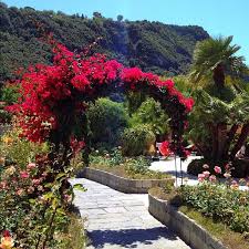 Italy Ischia Poseidon Terme Ischia Italy Sicily Island Beautiful Places