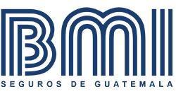 Select the product/s of your interest*. Bmi Seguros Guatemala