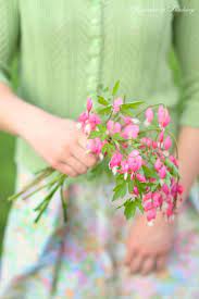 Blueberry Romantic Spring Pink And Green Beautiful Flowers Bleeding Heart