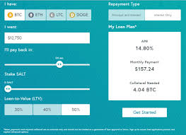 Salt Loan Bitcoin What Bitcoin Wallet To Use 2019