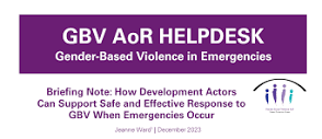 Gender-Based Violence Area of Responsibility