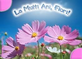 Sa ai o viata plina de fericire si impliniri! La Multi Ani Flori Life Is Hard Judging Others Find Someone Who