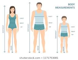 clothes size chart images stock photos vectors shutterstock