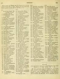 Image result for Orthanthera