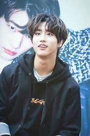 10 Fakta Han Stray Kids Si Tupai Kesayangan Stay